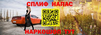 ешки Славгород