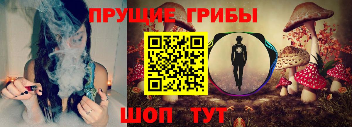 Галлюциногенные грибы Cubensis Новокубанск