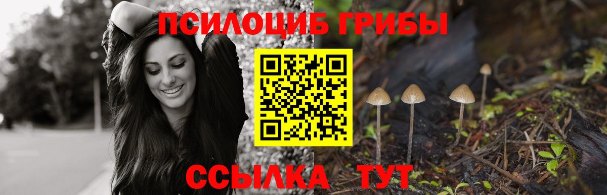 Галлюциногенные грибы прущие грибы  Вход с VPN  Псилоцибиновые грибы MAGIC MUSHROOMS  Новокубанск 